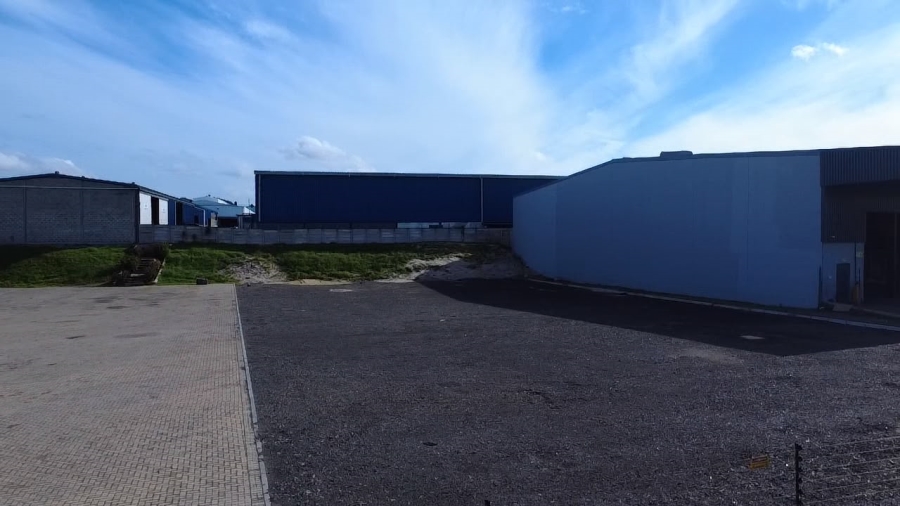To Let Commercial Property for Rent in Stikland Industrial Western Cape